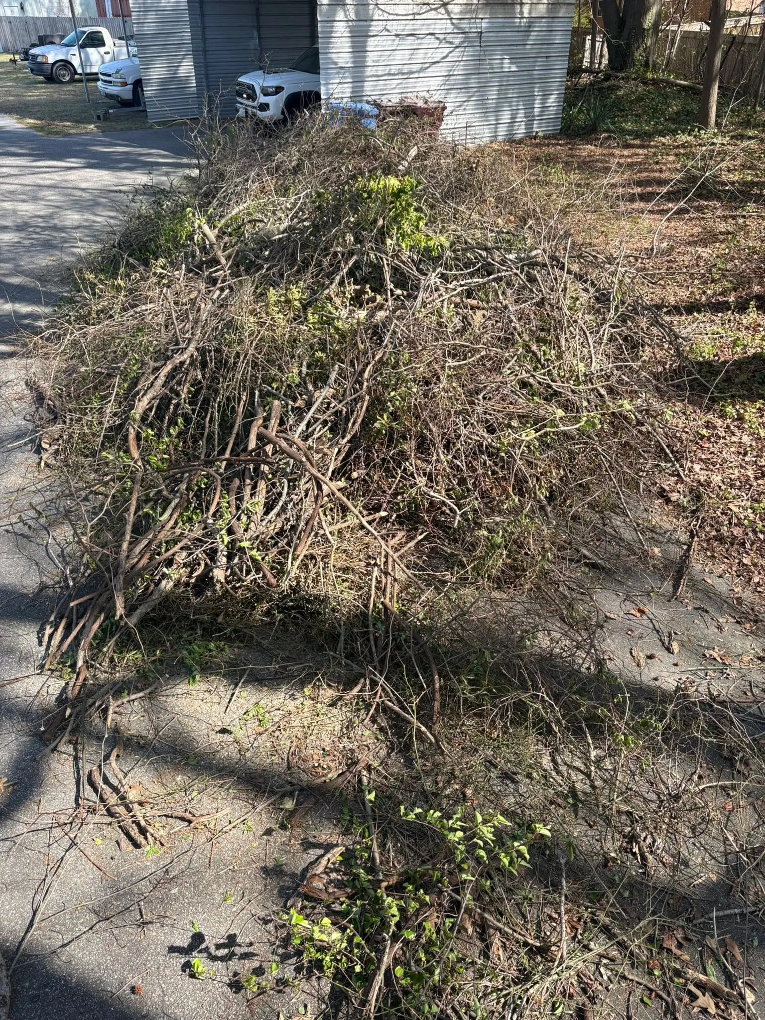 EcoClear Brush cleanup project in Hampton Roads